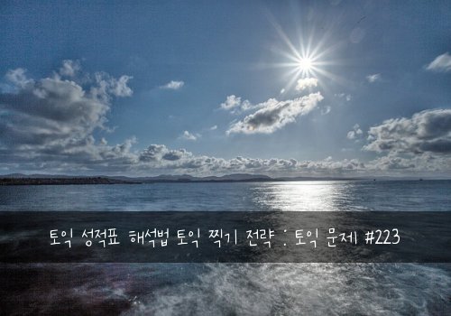 토익 성적표 해석법 토익 찍기 전략 : 토익 문제 #223