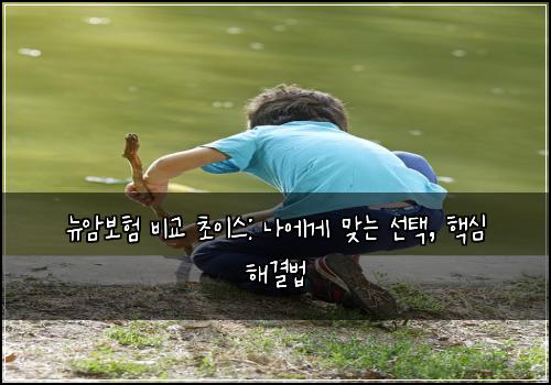  뉴암보험 비교 초이스: 나에게 맞는 선택, 핵심 해결법