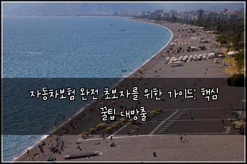  자동차보험 완전 초보자를 위한 가이드: 핵심 꿀팁 대방출