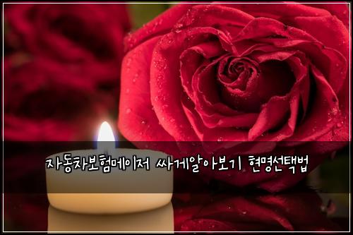 자동차보험메이저 싸게알아보기 현명선택법