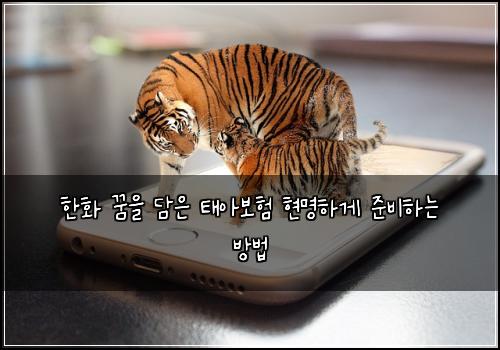 한화 꿈을 담은 태아보험 현명하게 준비하는 방법