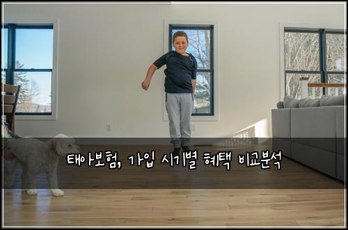 태아보험, 가입 시기별 혜택 비교분석