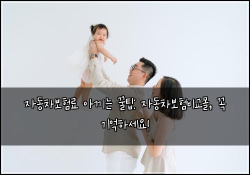 자동차보험료 아끼는 꿀팁: 자동차보험비교몰, 꼭 기억하세요!