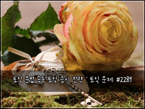 토익 문법 속독 토익 응시 전략 : 토익 문제 #2289