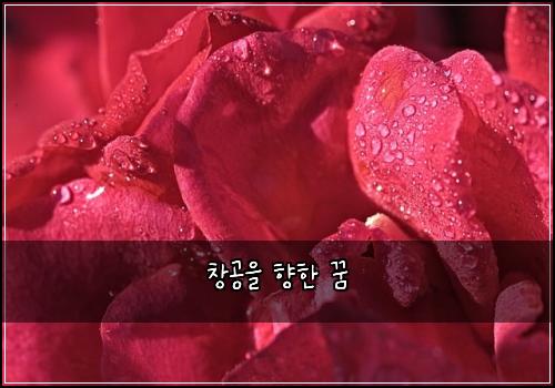 창공을 향한 꿈