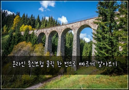  온라인 종신보험 클릭 한 번으로 빠르게 알아보기