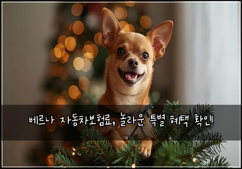 베르나 자동차보험료, 놀라운 특별 혜택 확인!