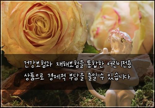 건강보험과 재해보험을 통합한 어린이전용 상품으로 경제적 부담을 줄일 수 있습니다