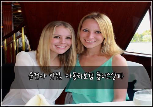 운전자 안심, 자동차보험 플러스알파