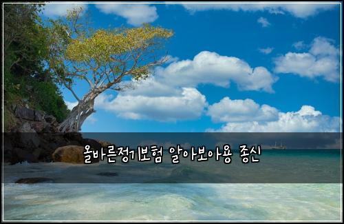 올바른정기보험 알아보아용  종신
