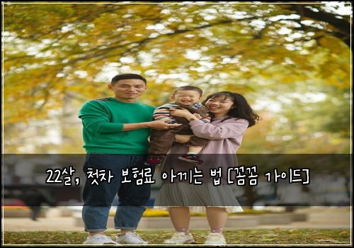 22살, 첫차 보험료 아끼는 법 [꼼꼼 가이드]