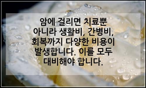 오늘의 이미지