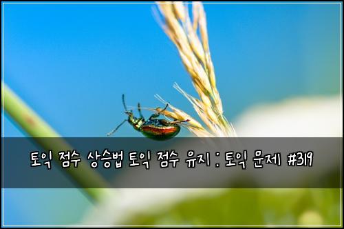 토익 점수 상승법 토익 점수 유지 : 토익 문제 #319