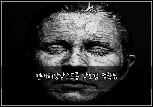 νλν΄μμμ€νΈλ‘± μ보ν μ νν