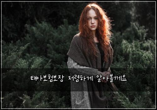 ํ์๋ณดํ๋ณด์ฅ ์ ๋ ดํ๊ฒ ์์๋ณผ๊ป์
