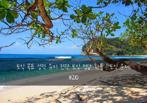 토익 목표 성적 유지 전략 토익 정답 확률 : 토익 문제 #210