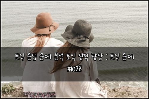 토익 문법 문제 분석 토익 성적 향상 : 토익 문제 #1028