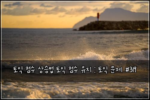 토익 점수 상승법 토익 점수 유지 : 토익 문제 #319