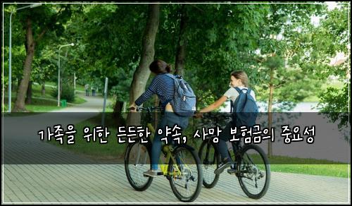  가족을 위한 든든한 약속, 사망 보험금의 중요성