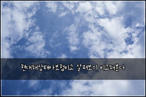 현대해상태아보험비교 살펴보기 비교해본다