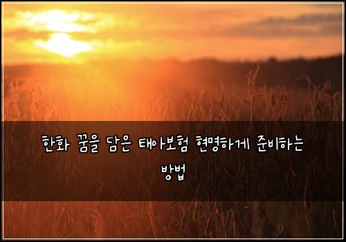 한화 꿈을 담은 태아보험 현명하게 준비하는 방법