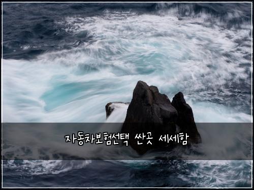 ์๋์ฐจ๋ณดํ์ ํ ์ผ๊ณณ ์ธ์ธํจ
