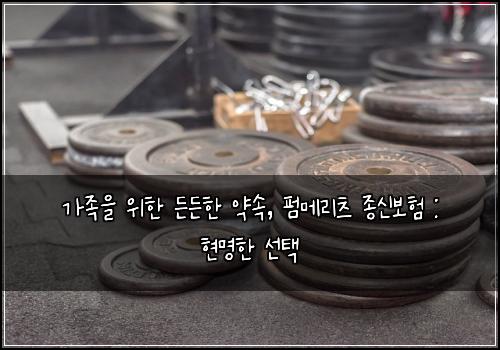 가족을 위한 든든한 약속, 펌메리츠 종신보험 : 현명한 선택