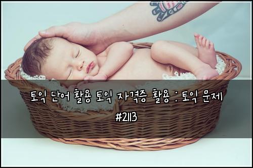 토익 단어 활용 토익 자격증 활용 : 토익 문제 #2113