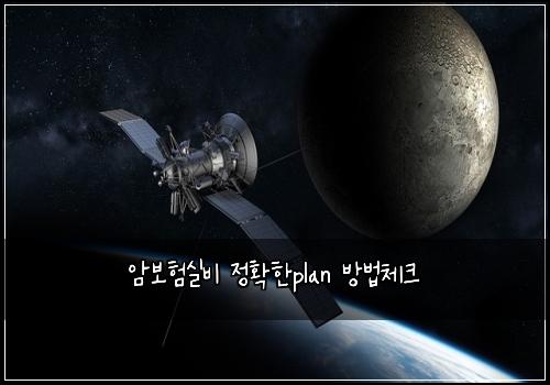 ์๋ณดํ์ค๋น ์ ํํplan ๋ฐฉ๋ฒ์ฒดํฌ