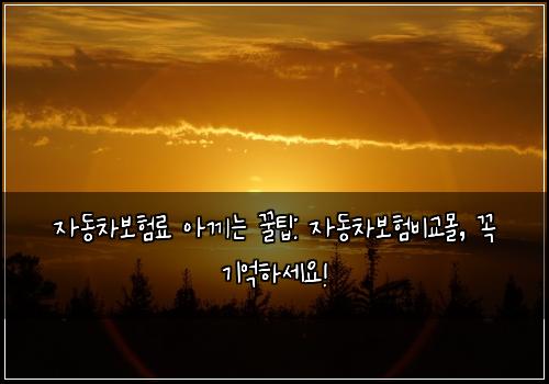 자동차보험료 아끼는 꿀팁: 자동차보험비교몰, 꼭 기억하세요!