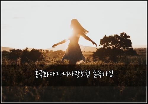 흥국화재자녀사랑보험 실속가입 