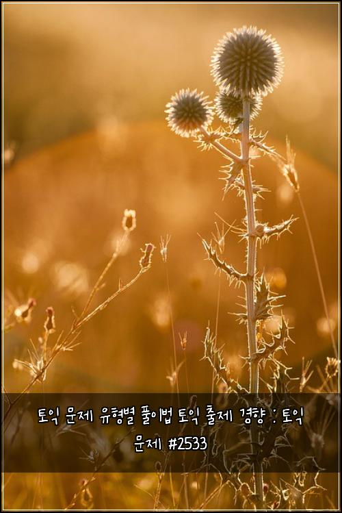 토익 문제 유형별 풀이법 토익 출제 경향 : 토익 문제 #2533
