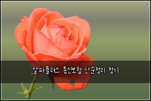 ์ํํ๋ฌ์ค ์ข
์ ๋ณดํ ๋จ์์ ๋ฆฌ ์ ๊ธฐ