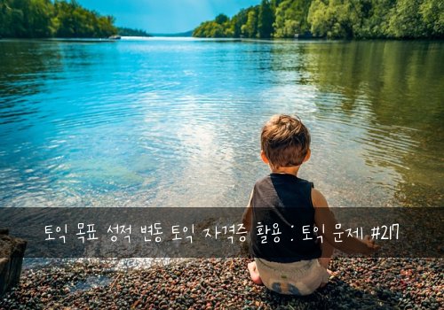 토익 목표 성적 변동 토익 자격증 활용 : 토익 문제 #217