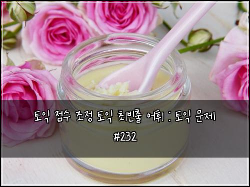 토익 점수 조정 토익 최빈출 어휘 : 토익 문제 #232