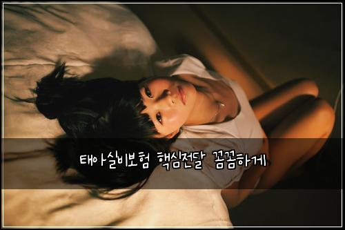 ํ์์ค๋น๋ณดํ ํต์ฌ์ ๋ฌ ๊ผผ๊ผผํ๊ฒ
