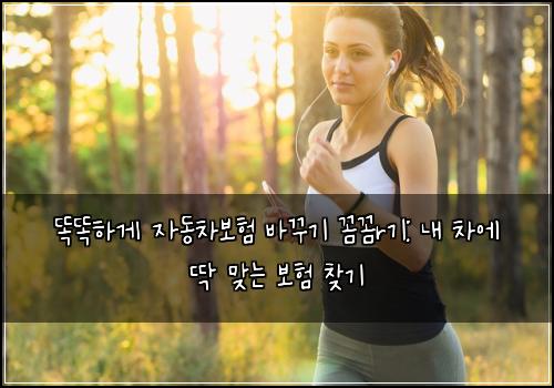  똑똑하게 자동차보험 바꾸기 꼼꼼r기: 내 차에 딱 맞는 보험 찾기