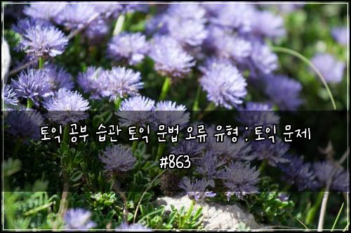 토익 공부 습관 토익 문법 오류 유형 : 토익 문제 #863