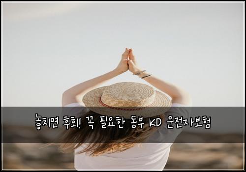  놓치면 후회! 꼭 필요한 동부 KD 운전자보험