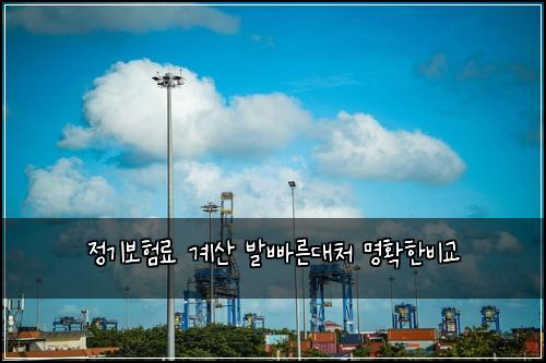 정기보험료 계산 발빠른대처 명확한비교