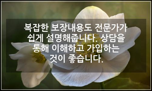오늘의 이미지