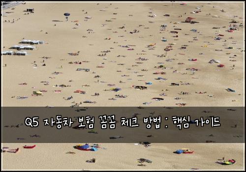 Q5 자동차 보험 꼼꼼 체크 방법 : 핵심 가이드