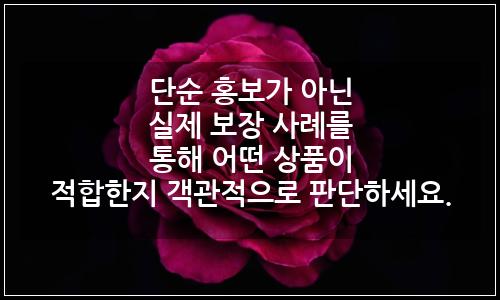 오늘의 이미지
