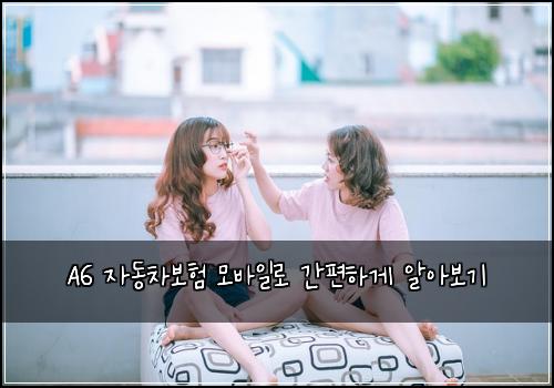  A6 자동차보험 모바일로 간편하게 알아보기