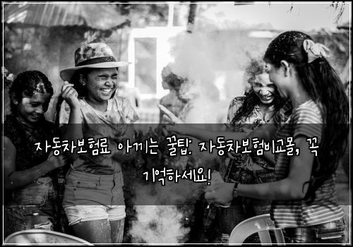 자동차보험료 아끼는 꿀팁: 자동차보험비교몰, 꼭 기억하세요!