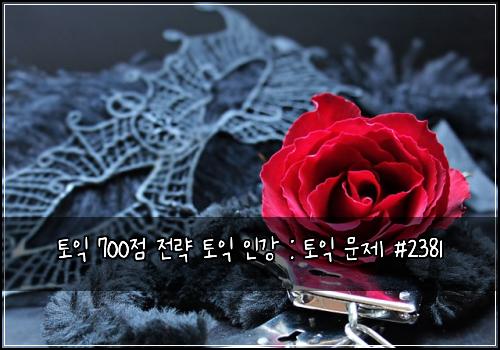 토익 700점 전략 토익 인강 : 토익 문제 #2381