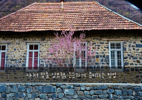 시니어 맞춤 암보험, 든든하게 준비하는 방법