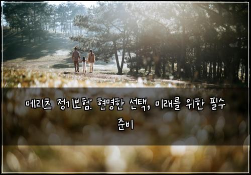 메리츠 정기보험: 현명한 선택, 미래를 위한 필수 준비