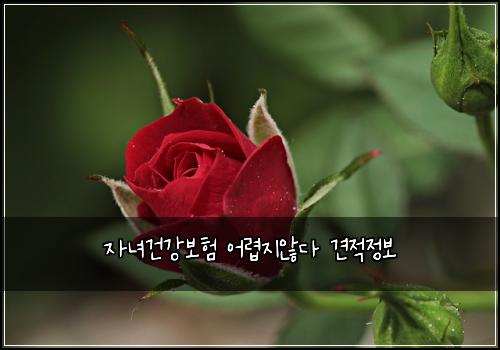 ์๋
๊ฑด๊ฐ๋ณดํ ์ด๋ ต์ง์๋ค ๊ฒฌ์ ์ ๋ณด