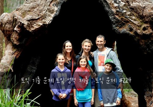 토익 기출 문제 토익 성적 제출 : 토익 문제 #224